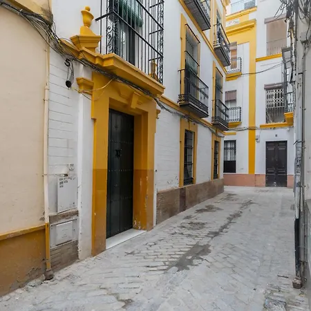 Functional And Pretty-1bd 1bth- San Vicente